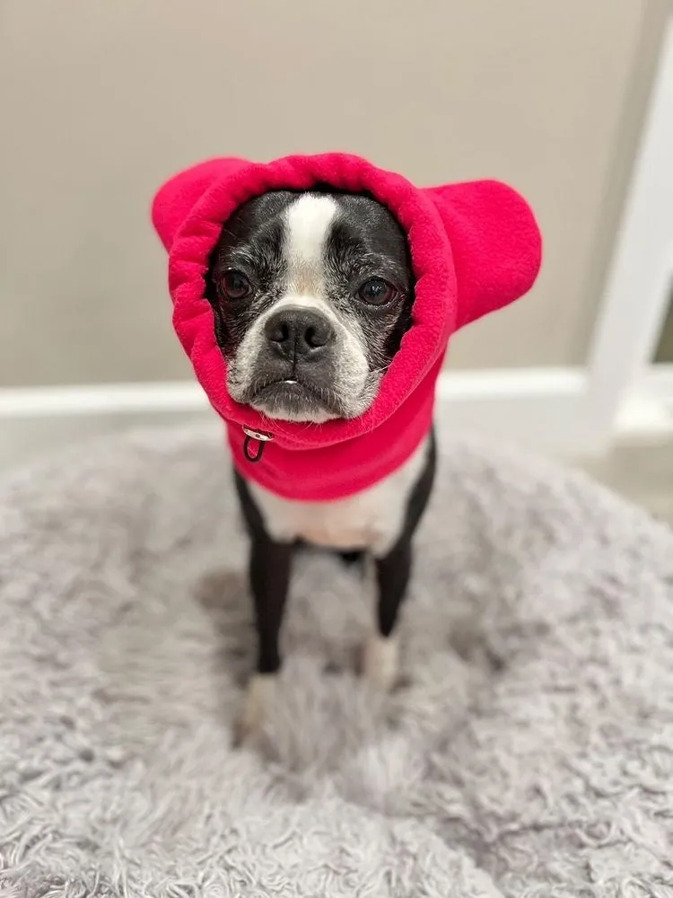 Frenchiestore Organic Dog Frenchie Ear Warmers | Hot Pink