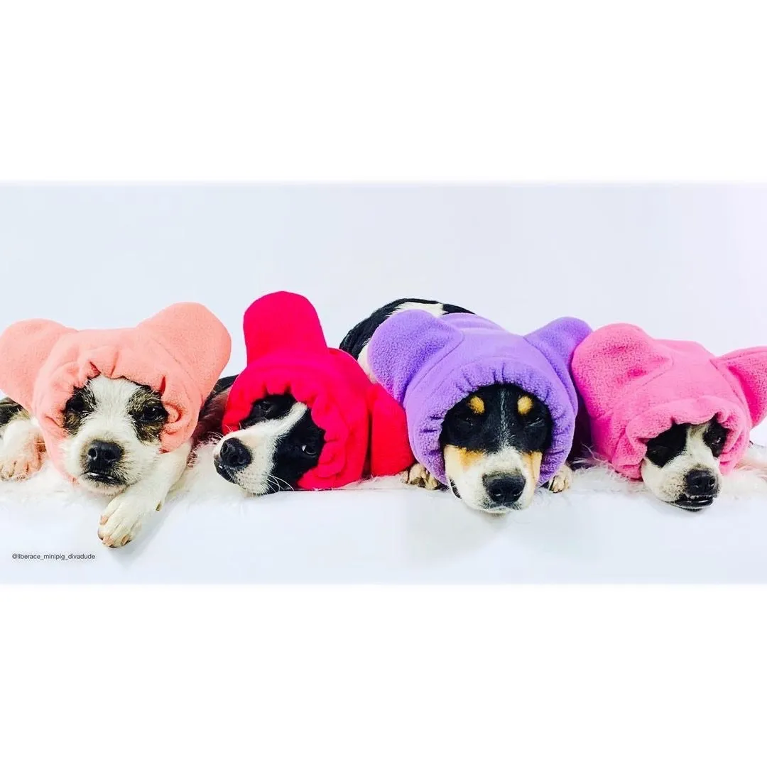 Frenchiestore Organic Dog Frenchie Ear Warmers | Hot Pink