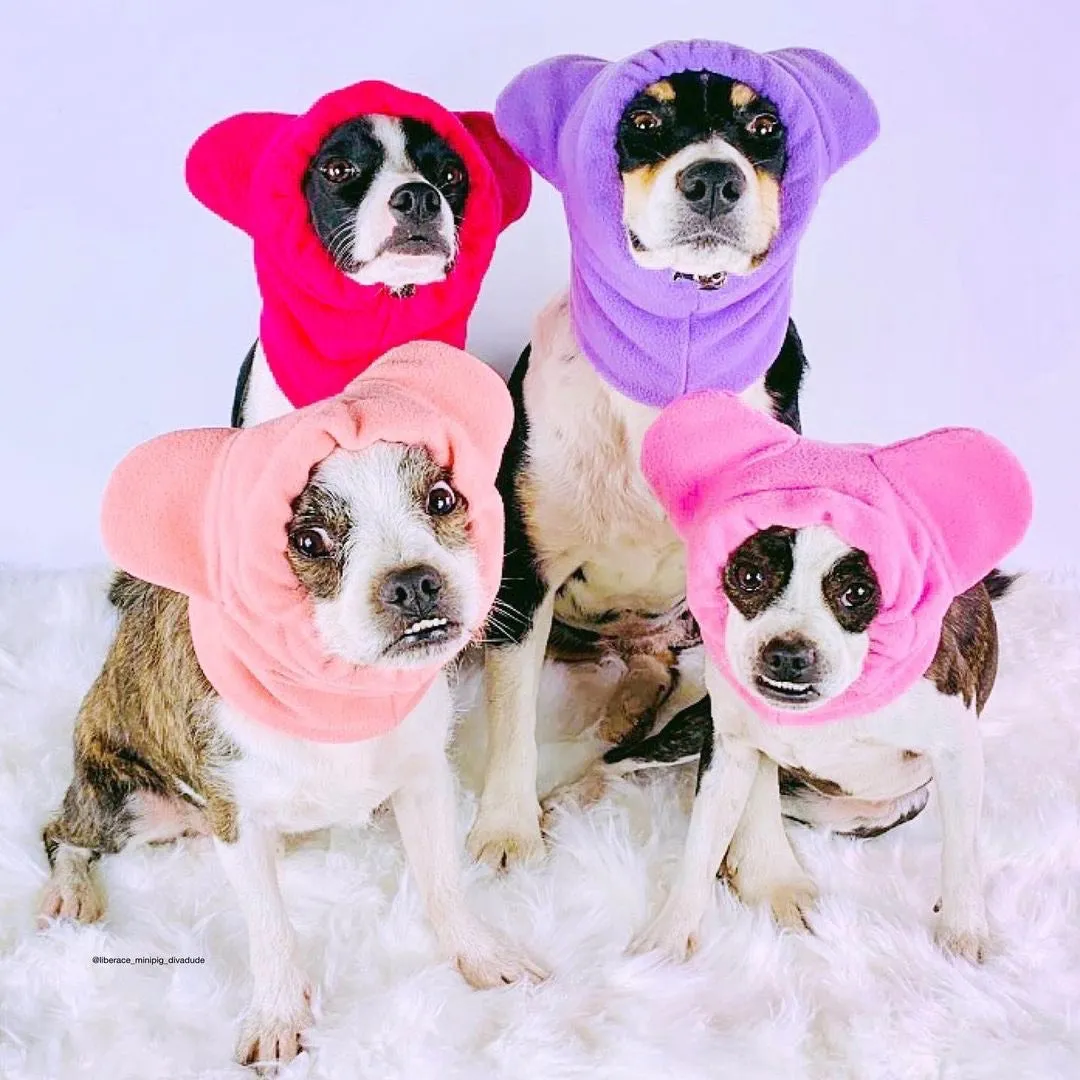 Frenchiestore Organic Dog Frenchie Ear Warmers | Hot Pink
